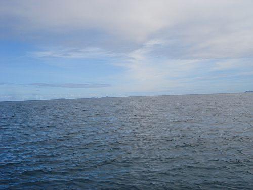 f61b.jpg