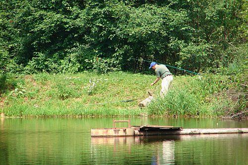 dsc00363b.jpg - 