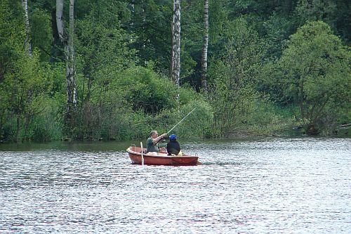 dsc00387b.jpg -   