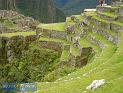 imgperu055